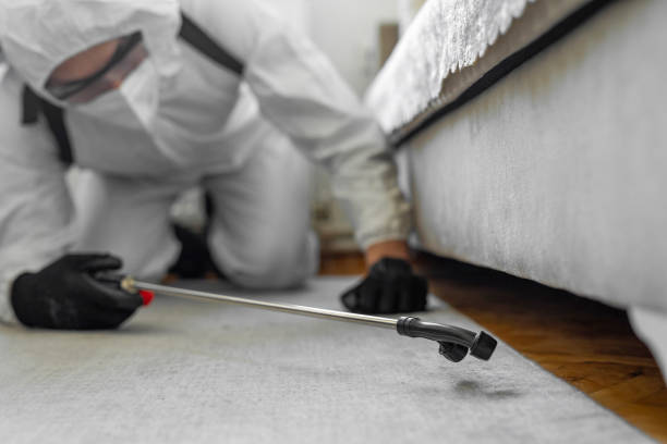 Professional Cockroach Control technician working in Blue Earth County County, MN